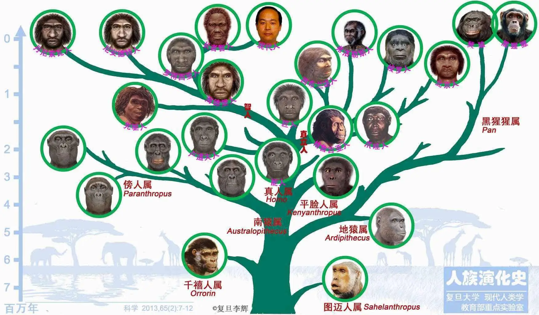 人类与动物实操ppt看视频_神创论与外星人创造论对比_人类起源进化论科普
