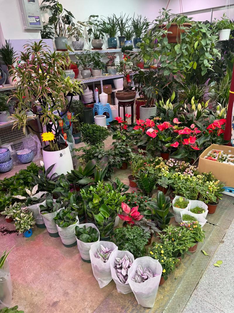 卖楼花合法性_商品房预售条件_楼花之都在线观看