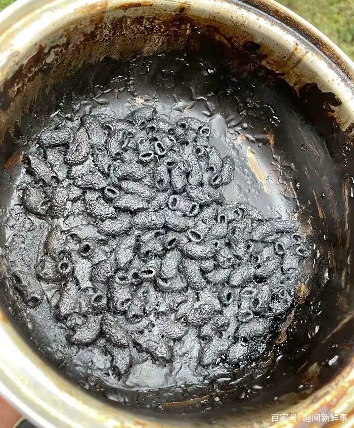 煮鸡蛋爆炸_烤箱食物失败案例_明星黑暗料理图片大全高清,